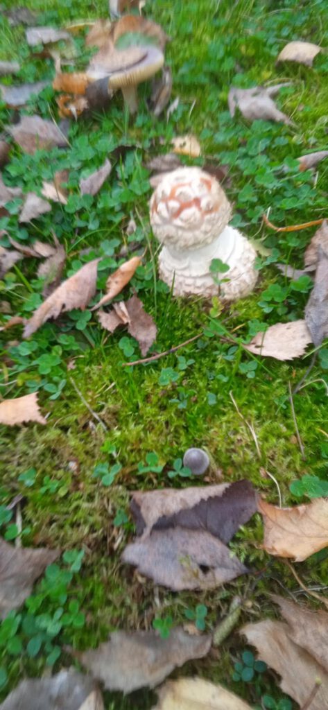 Herbstwanderung, Autorin Feli Möhle