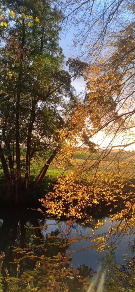 Reisen für die Gesundheit - Herbststimmung, Autorin: Feli M.