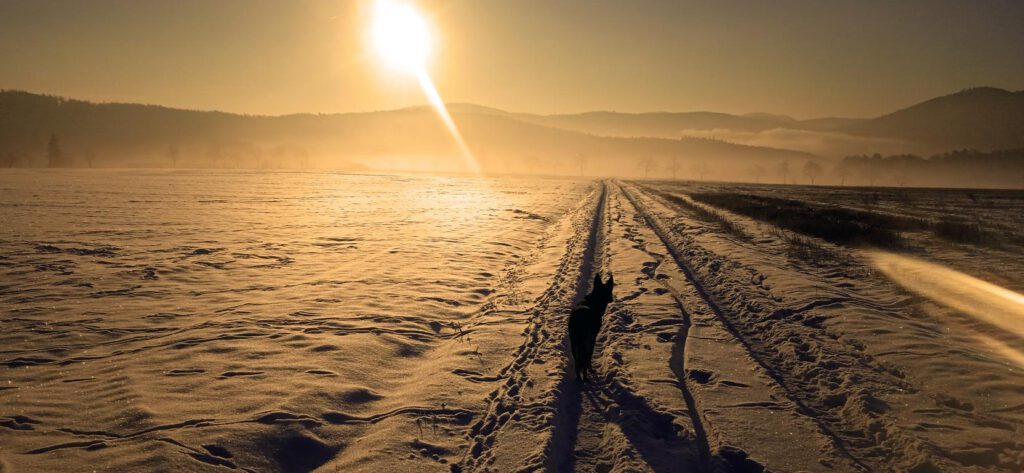 Reisen für die Gesundheit - Ein Morgen im Schnee, Autorin: Feli M.