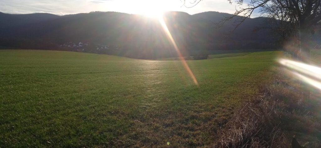 Coaching: Das Leben geniessen, gerade bei Krebs, Autorin Feli Möhle